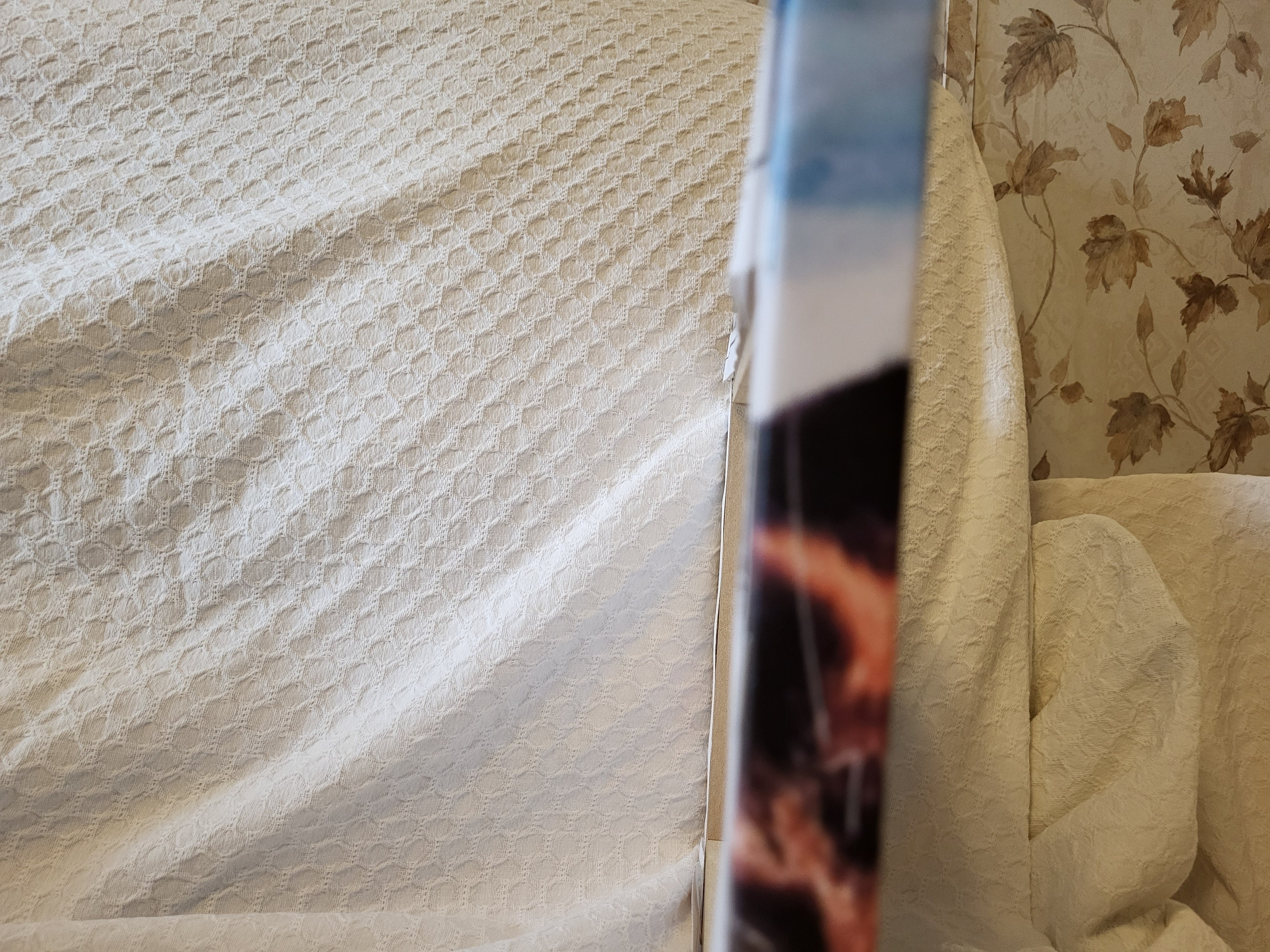 Just Look Away – Phoebe my cat & Hummingbird Canvas Print (11x14)